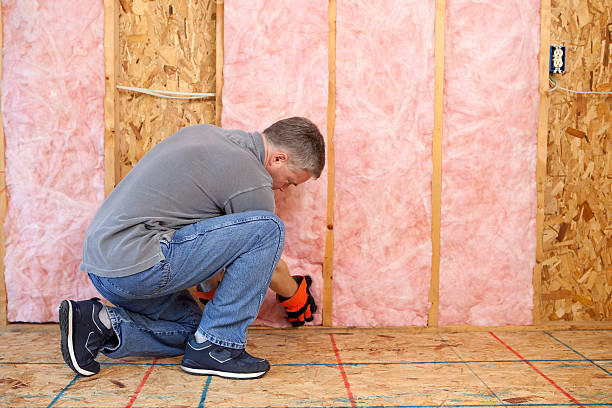 Best Fiberglass Insulation in Castle Rock, CO