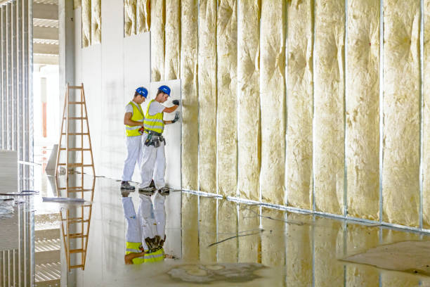 Best Specialized Insulation Services in Castle Rock, CO